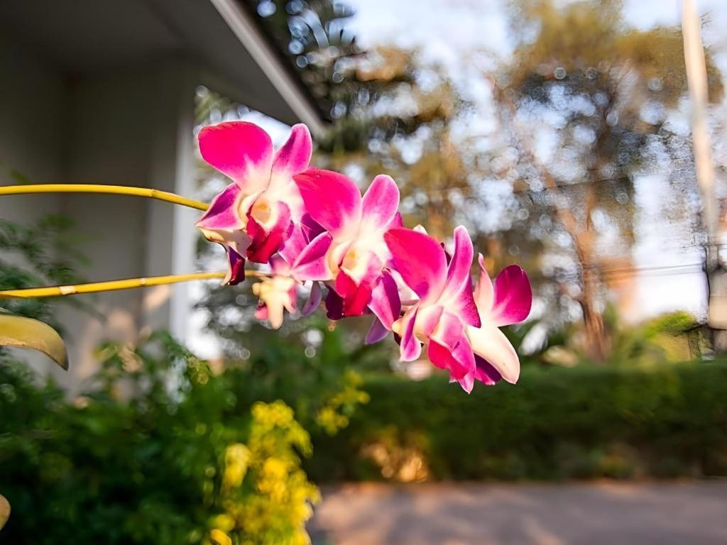 Chayada Garden House And Resort Nakhonratchasima Exterior foto